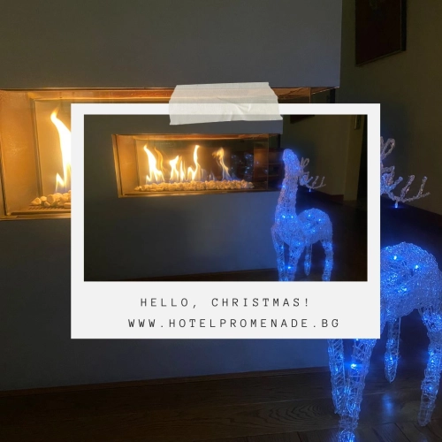 РОЖДЕСТВЕНСКИЕ ПАКЕТЫ